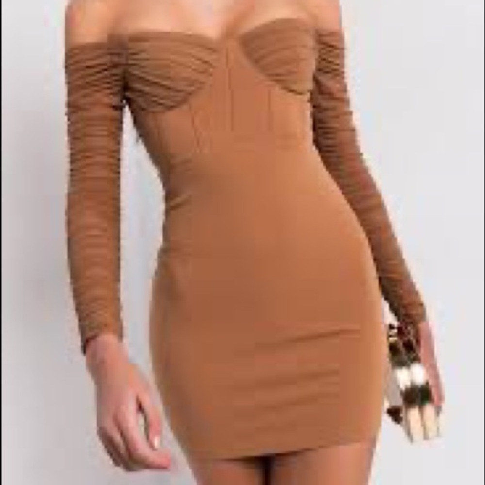 Off the Shoulder Ruched Sleeve Mini Dress